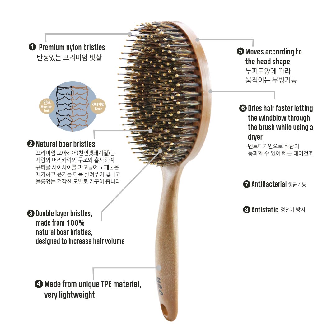 Yao Moving Circle Boar Hair Brush Wooden Texture (Special for Increasing  Hair Volume) – Me&U